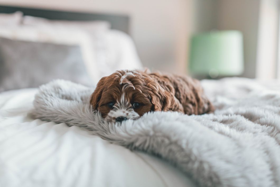 11 Signs You've Hit The 'Sophomore Slump' This Winter