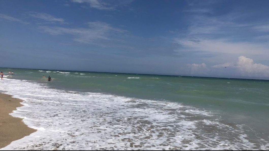 My First Time In Florida: Likes and Dislikes