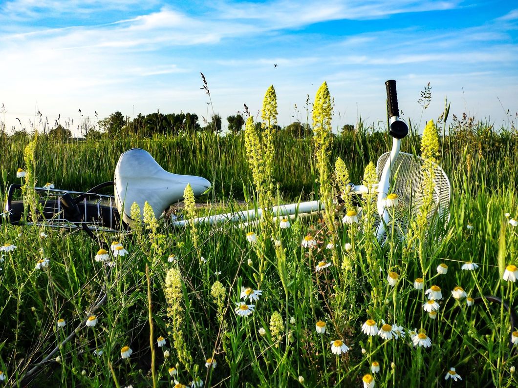 The 4 Most Common Spring Injuries And How To Avoid Them