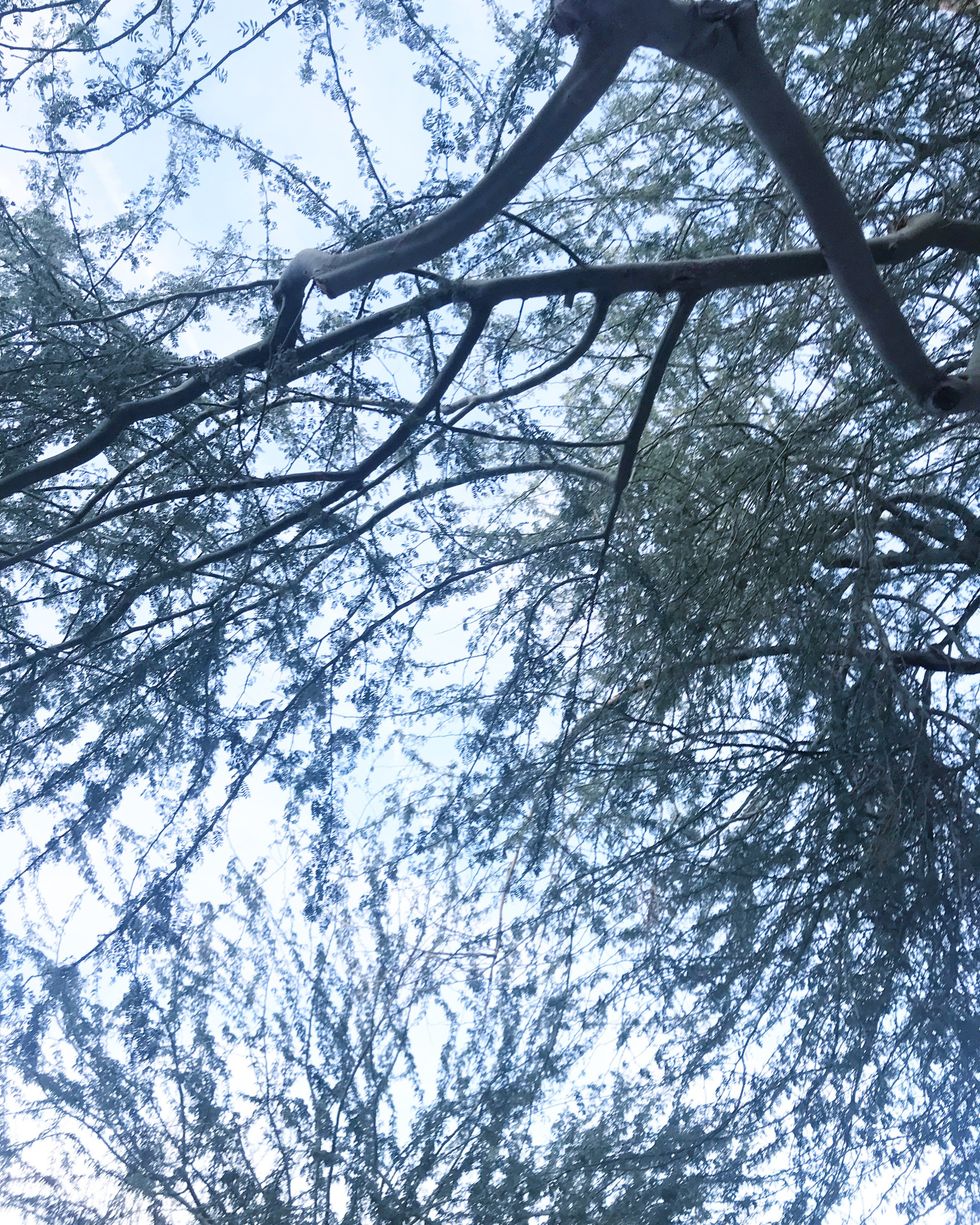 Make The Most Of The Last Month Of This Semester At ASU