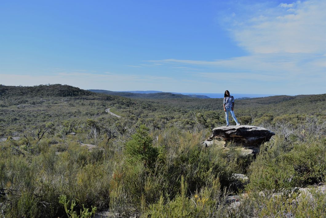 'The Lion King' Might Have Taught Us The Circle Of Life, But Let's Talk About The Cycle Of Life