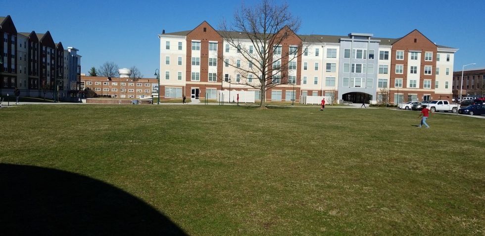 20 Things I Observed While Sitting Outside My Dorm In A Hammock For An Hour