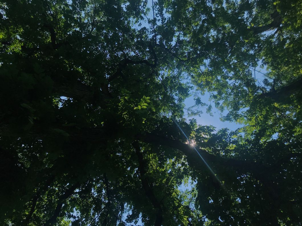 Reduce, Reuse, Recycle