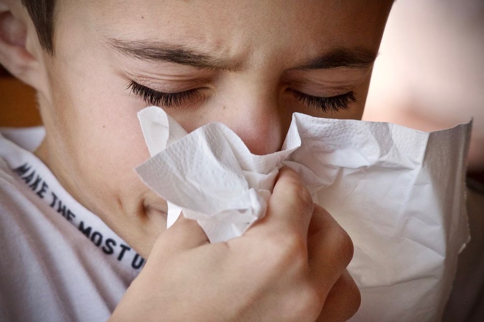 A Survival Guide For Allergy Season This Year
