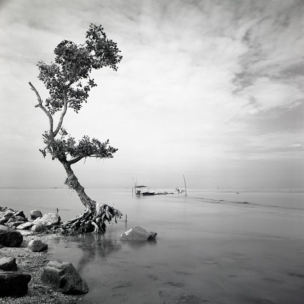 Everyday with BPD is a Struggle.