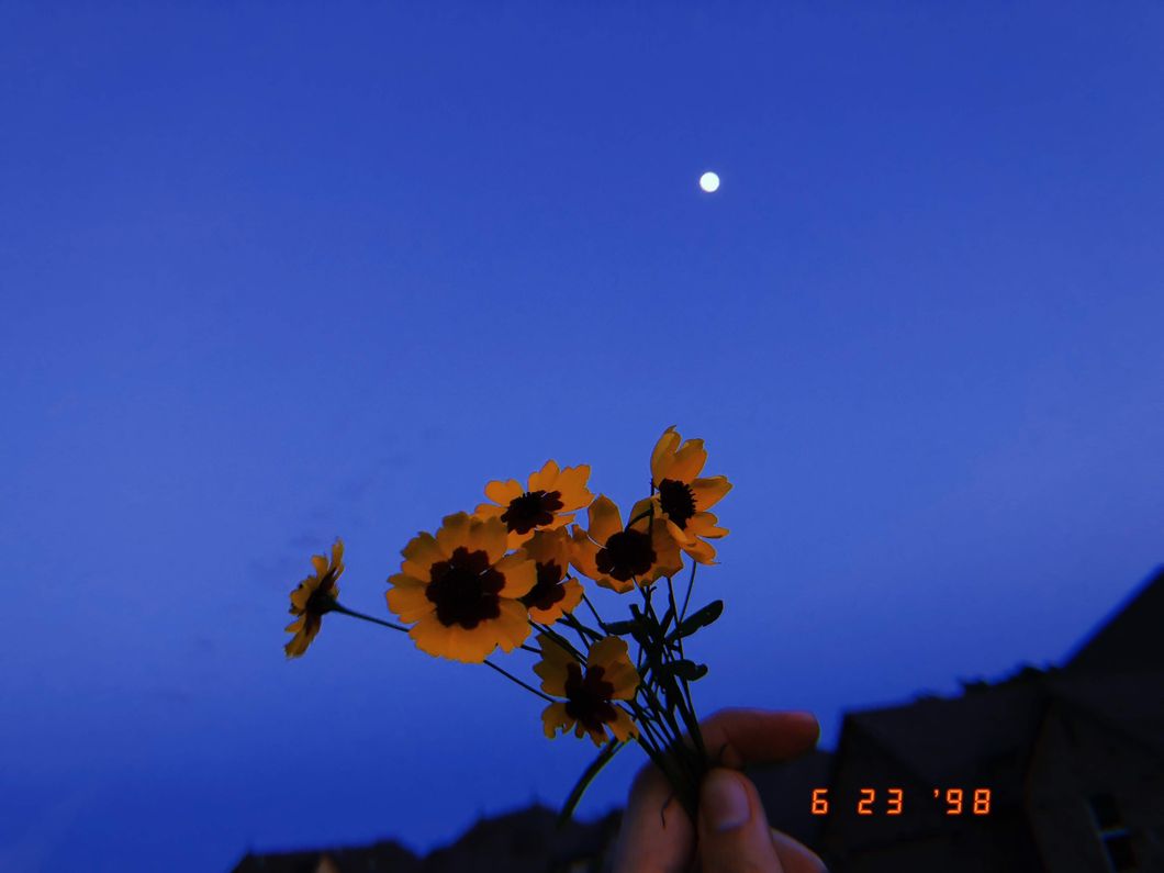 5 Great Things To Help Restore Your Faith In Humanity