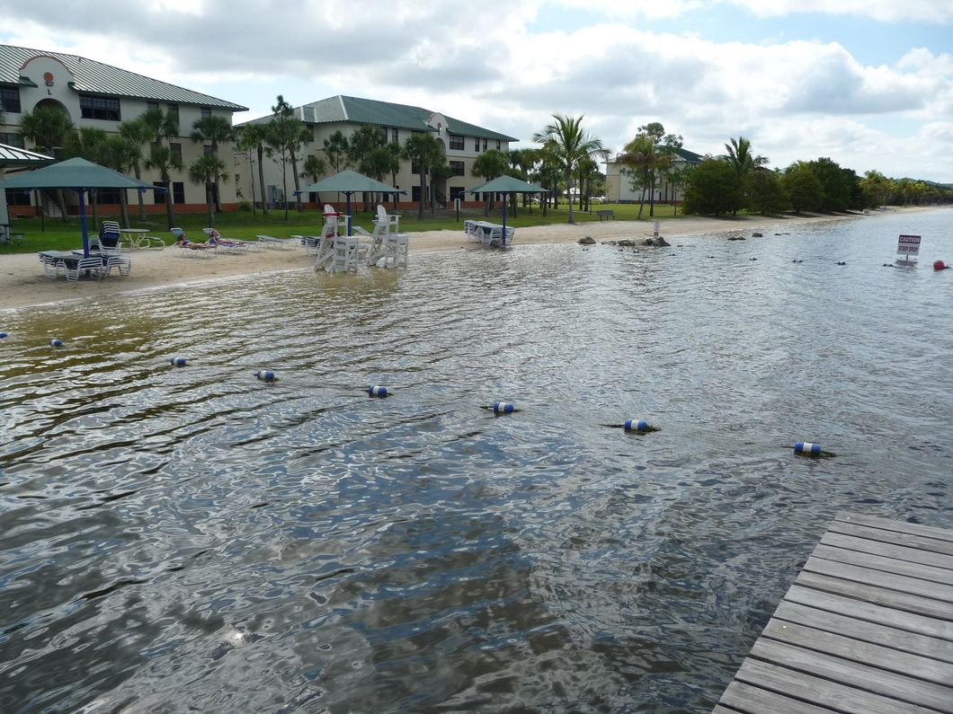 If You Answer 'Yes' To These 10 Questions, FGCU Is The School For You
