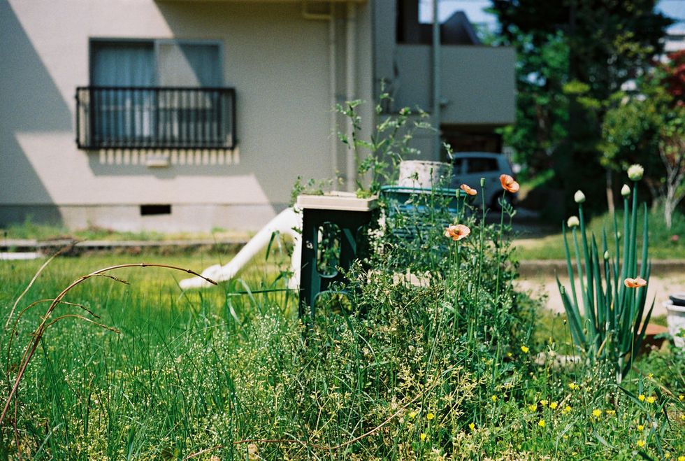 4 Simple Ways Anyone Can Celebrate Earth Day With This Year