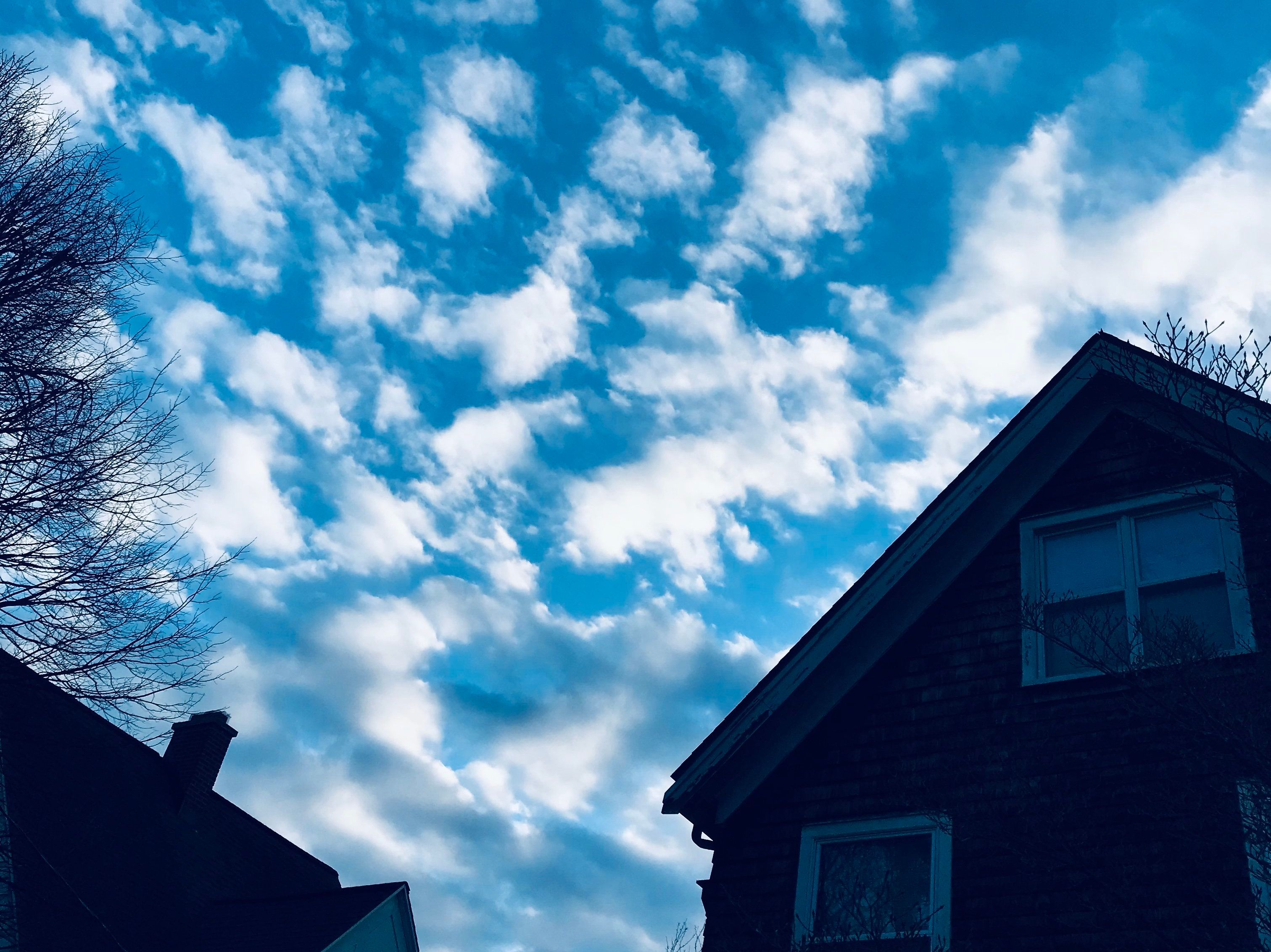 Why Aren't We Pursuing Our Dream Right Now?