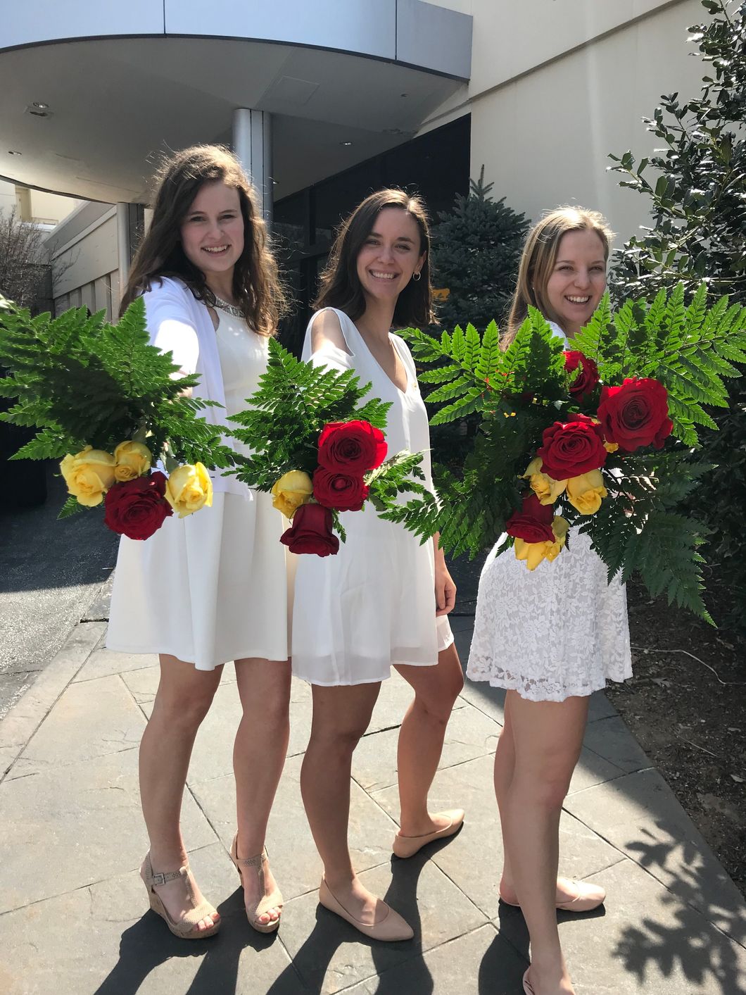 Don't Turn Your Nose Up At Greek Life