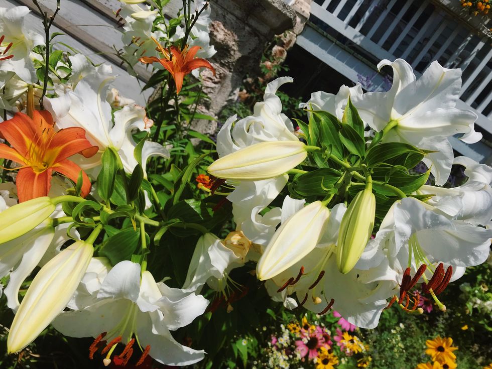 The Power Of Positivity