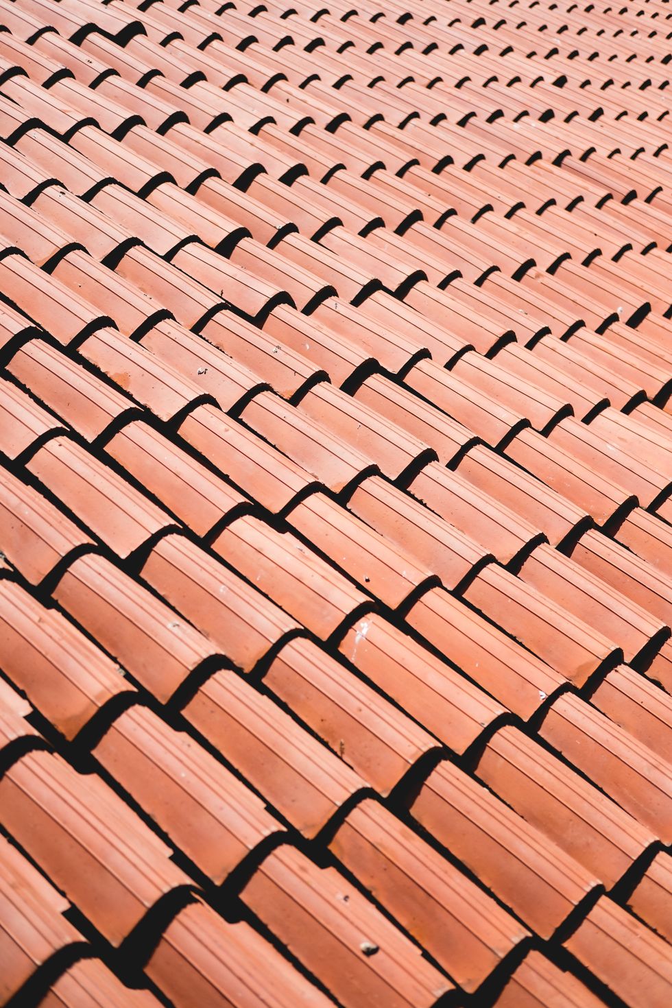 3 Signs You Need a Professional Roofing Company