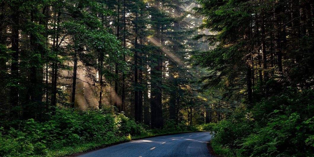 6 Places In California That You Need To Visit