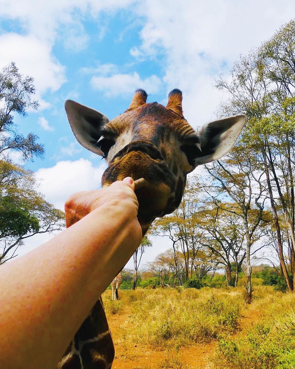 How You Can Help Animals This Year On Earth Day