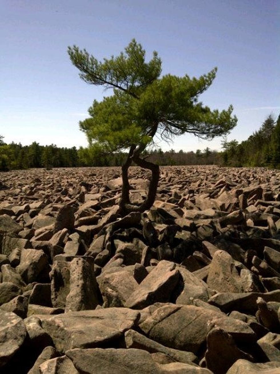 Poetry on Odyssey:Our Own Fight