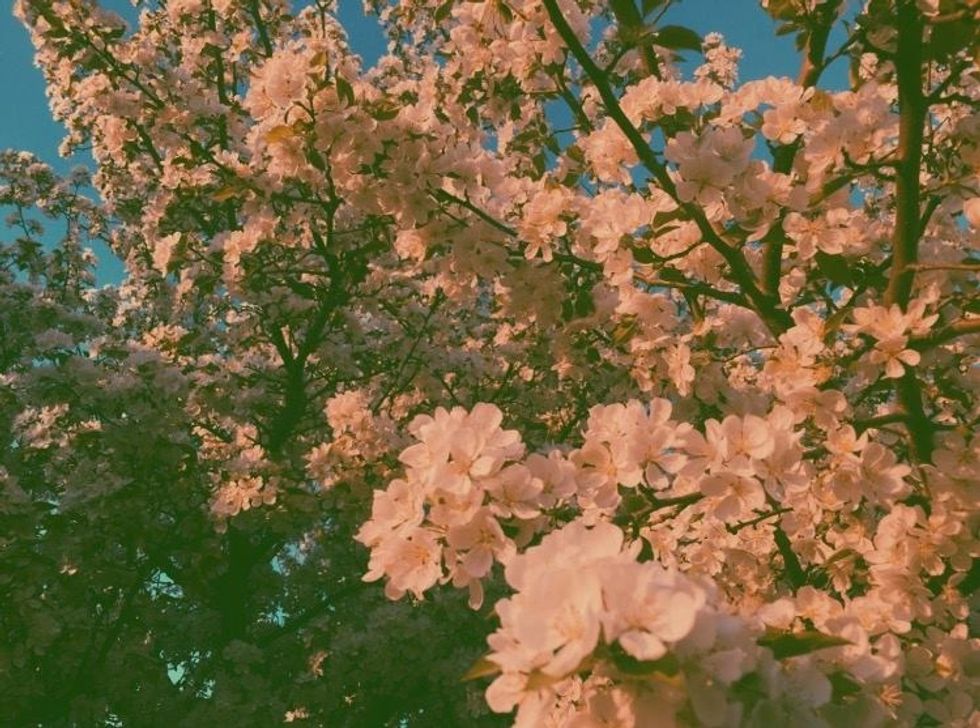 My Guide to a Stress Free Finals Week