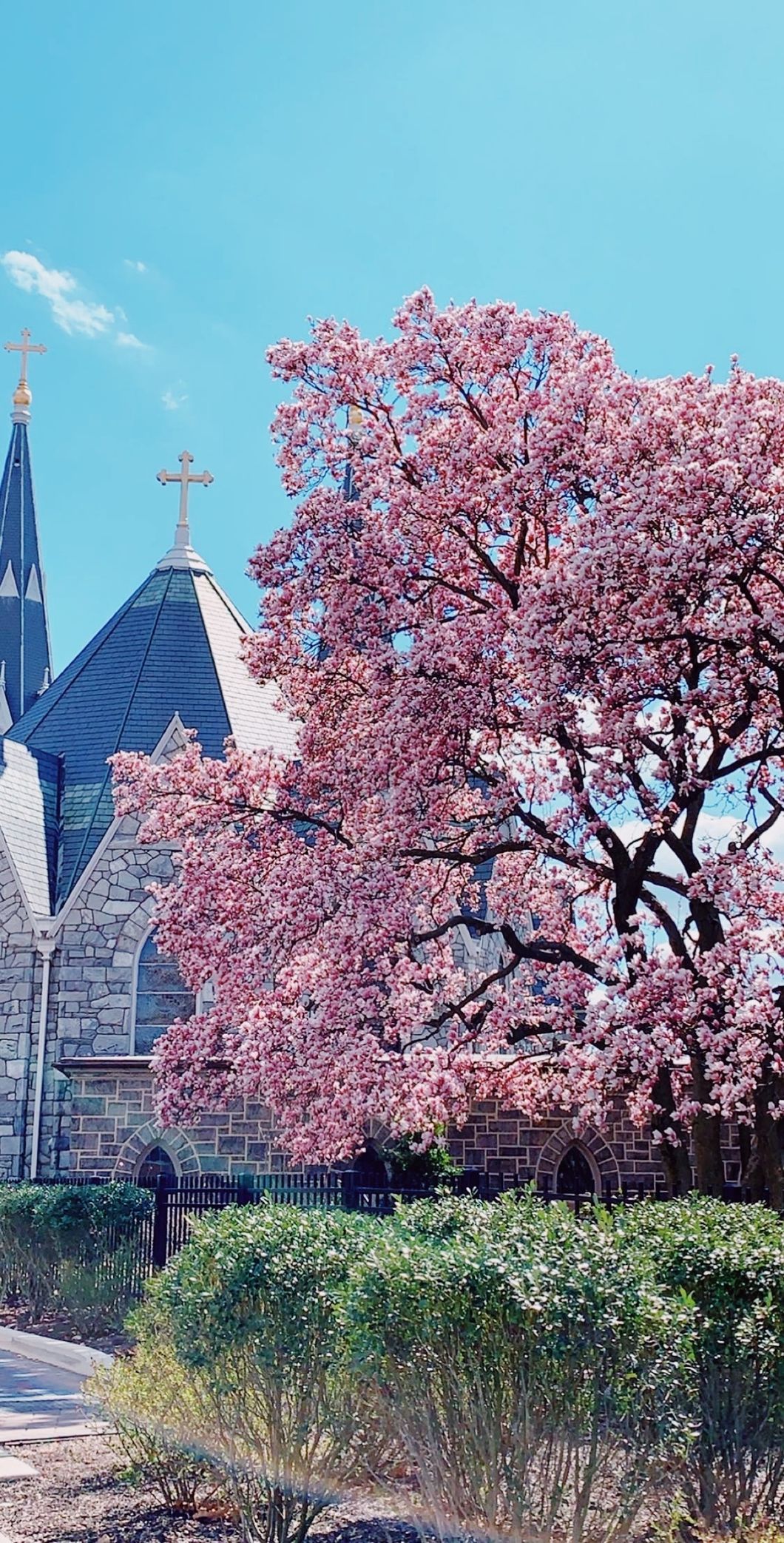 10 Wonderful Places To Sit Outside On Villanova's Campus