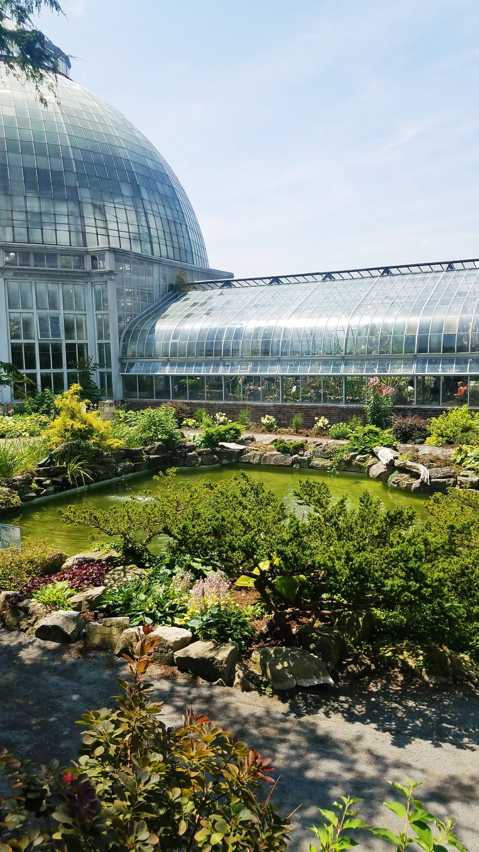 The Experience Of Going Home After Your First Year Away