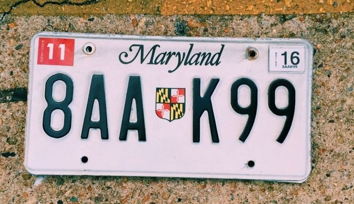9 Things I Miss About Maryland Since I Moved To Florida