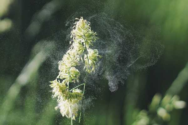 15 Things All Seasonal Allergy Suffers Want You To Know