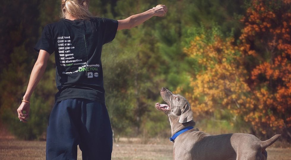 An Open Letter To Those Abusing The Freedom Of Emotional Support Animals