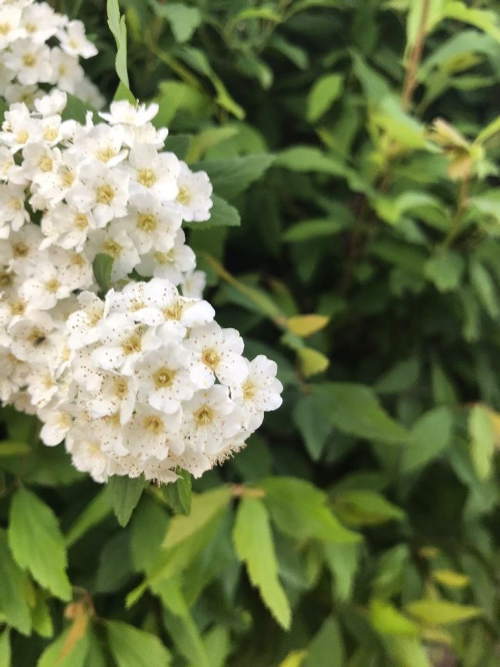 Why Horoscopes Don't Matter To Me