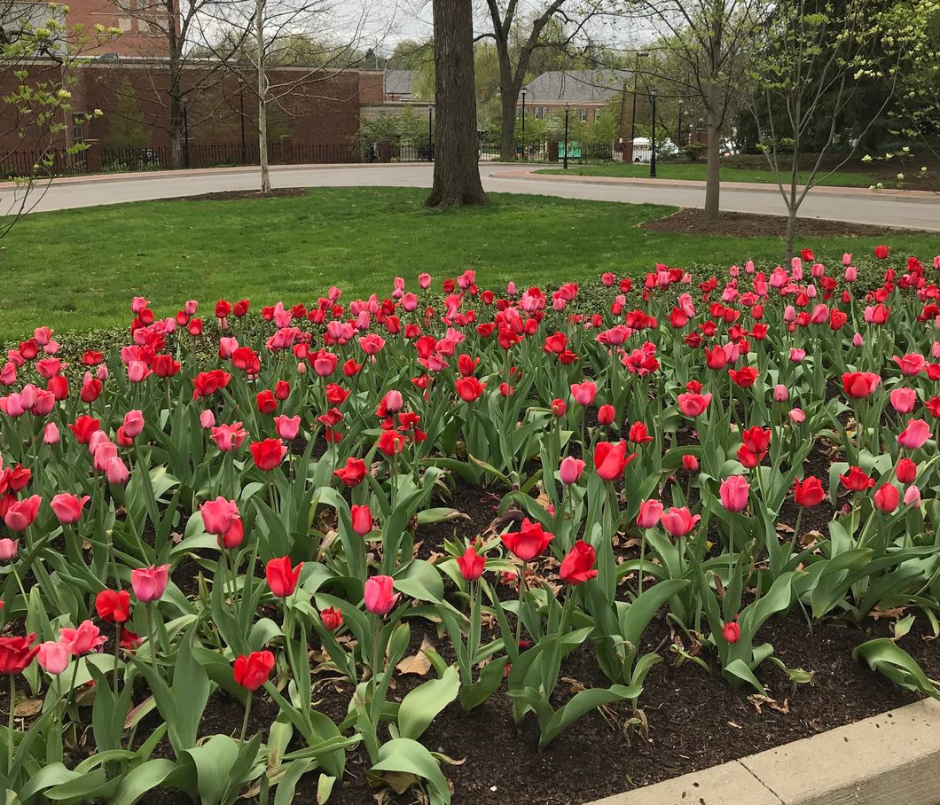 5 Ways To Enjoy Spring Weather, Even When You're Stuck On A College Campus