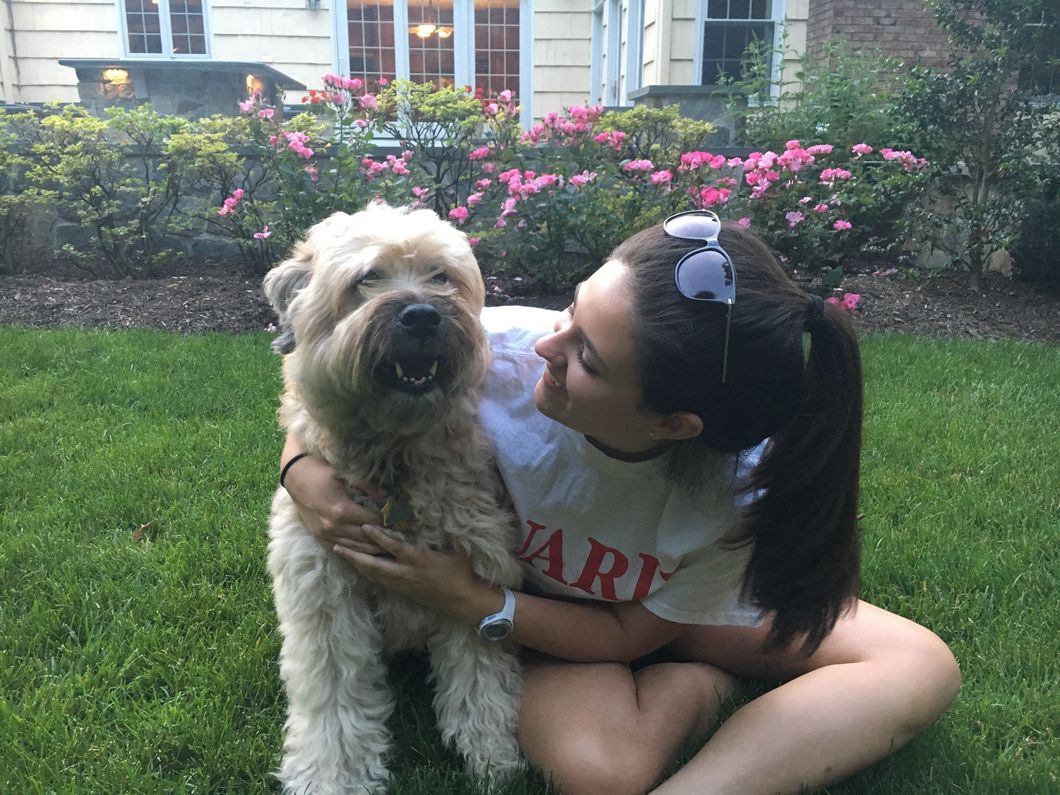 When You Give A Girl A Dog