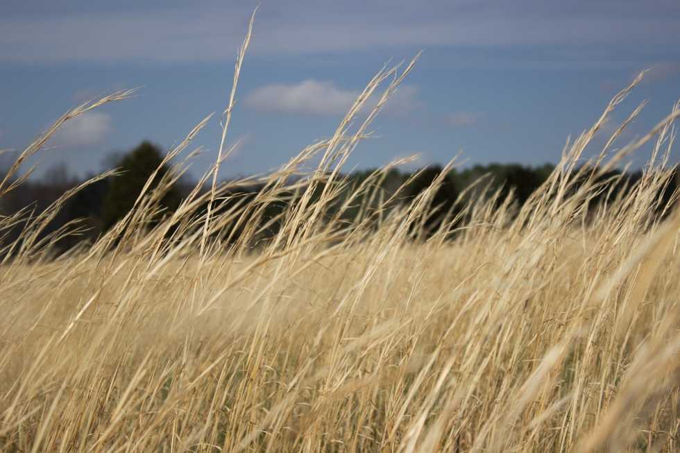 When you thought you had already given it all to GOD