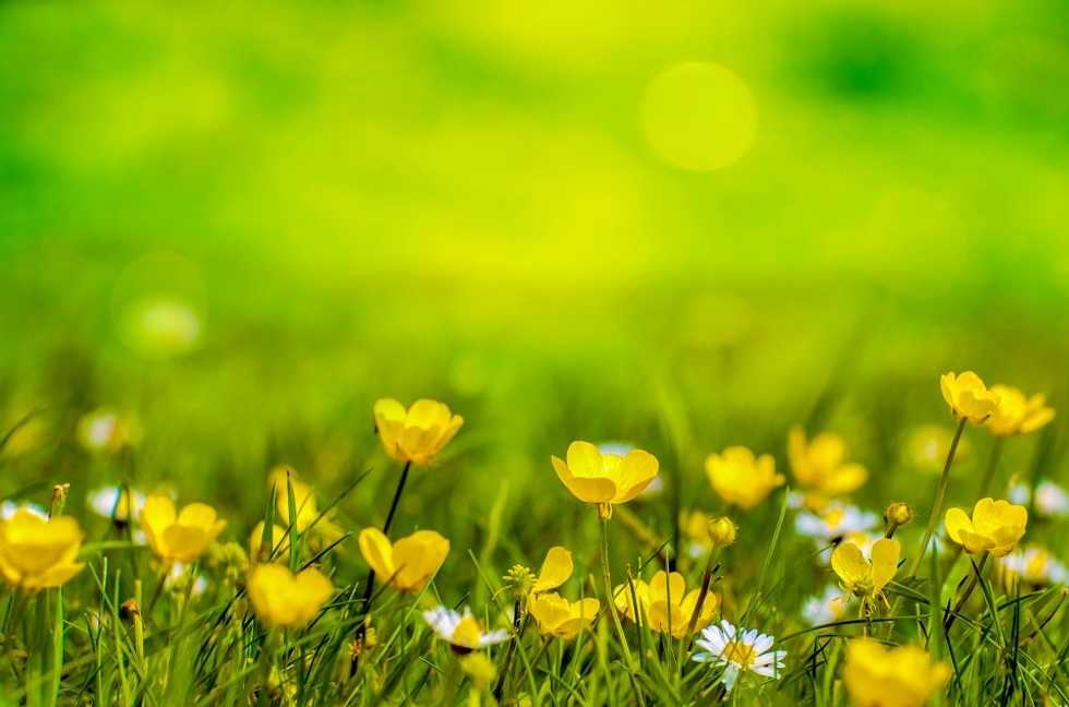 Monday Motivation: Spring Quarter Edition