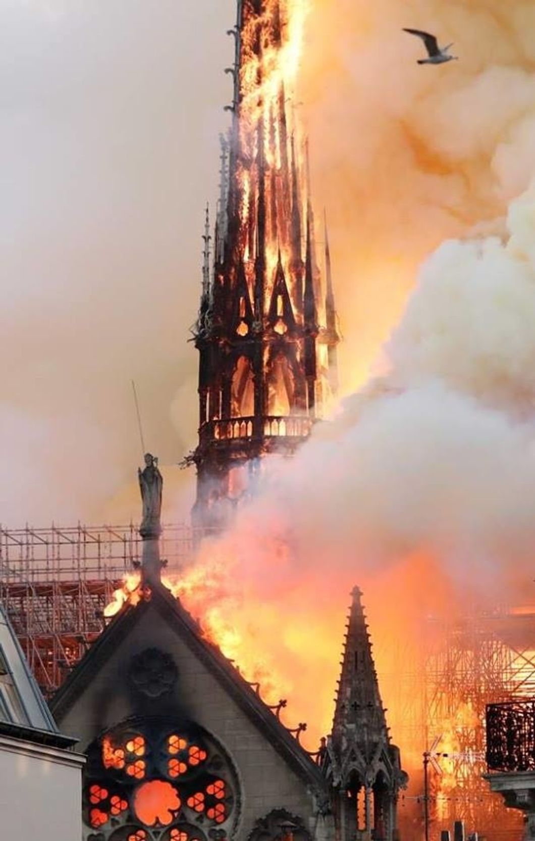 Notre Dame Cathedral Does Not Need Donations, The Catholic Church Can Afford It