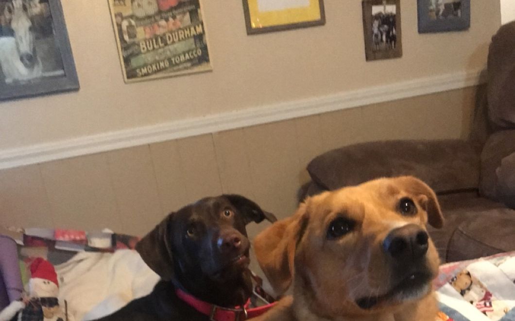 Life At Auburn University: Housing