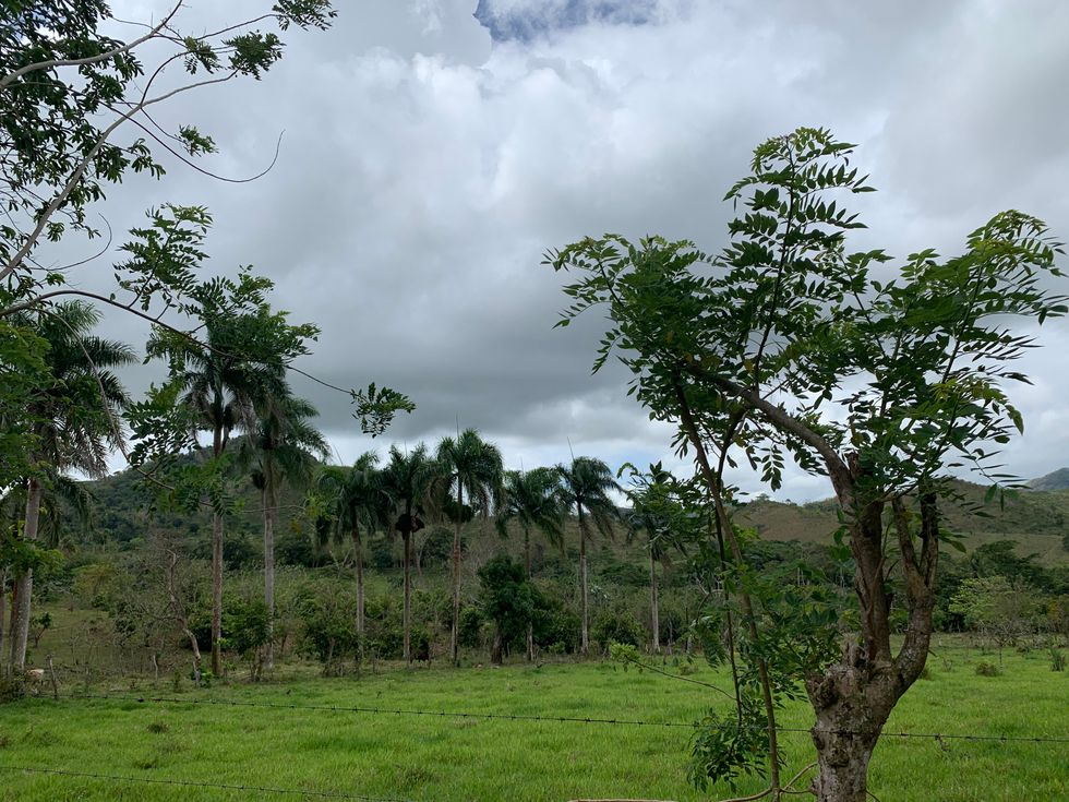 Sometimes, It's Easy To Take What Life Gives You For Granted