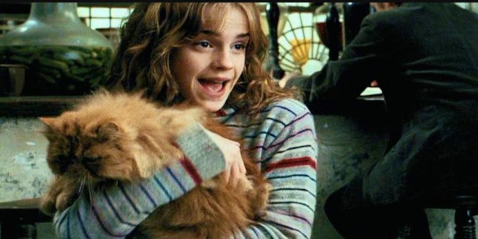 10 Harry Potter Characters So Criminally Underrated It Deserves An Azkaban Sentence