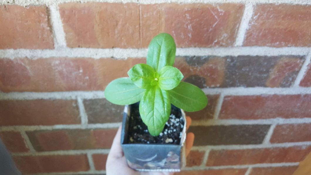 Every Day Is Earth Day