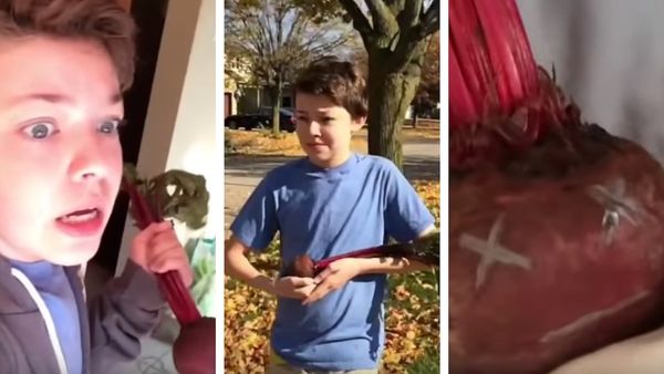 24 Vines That Perfectly Capture Four Years Of 24 Different College Majors In Six Seconds Or Less