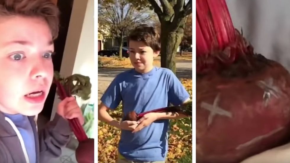 24 Vines That Perfectly Capture Four Years Of 24 Different College Majors In Six Seconds Or Less