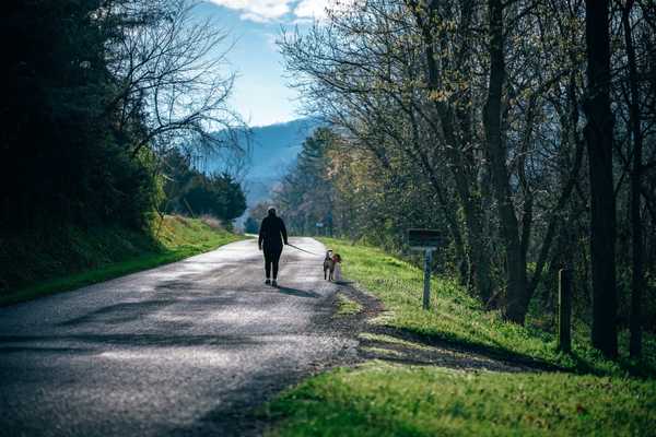 10 Things To Do When You Are Bored With Your Life