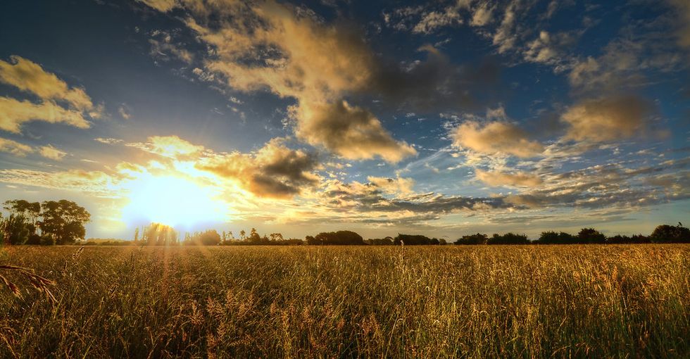 Thoughts From the 20 Year Old Virgin