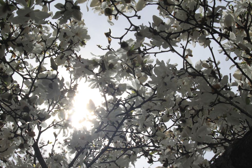 7 things You've Missed