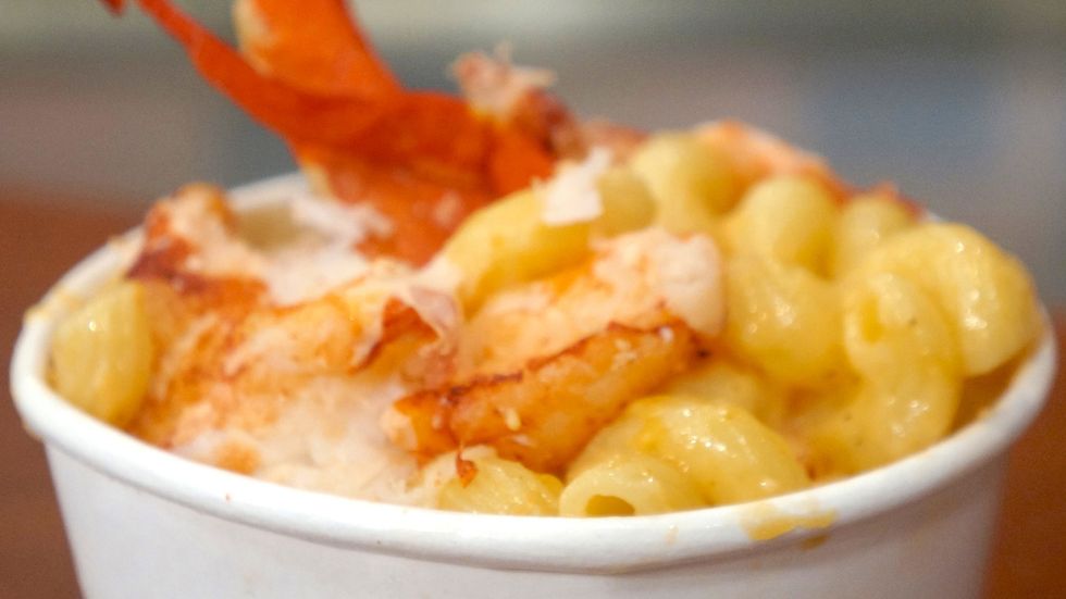 10 Types Of Seafood Even Picky Eaters Will Dive Right Into