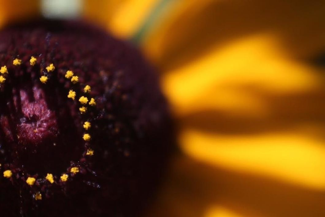 My Friends, We Are The Hope For Humanity