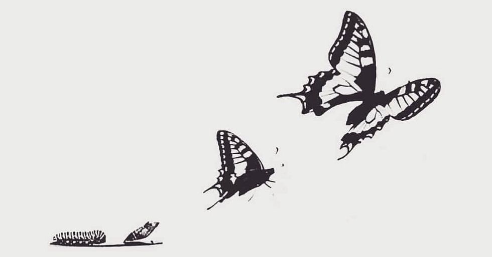 Poetry On Odyssey: Butterfly