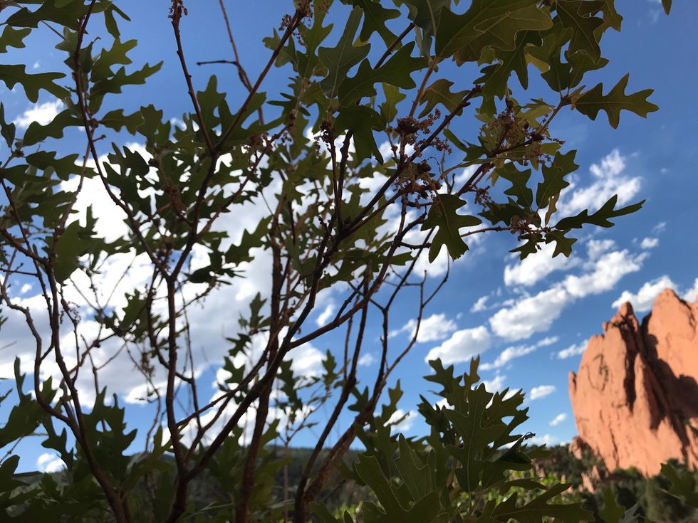 Use Exercise To Release Stress