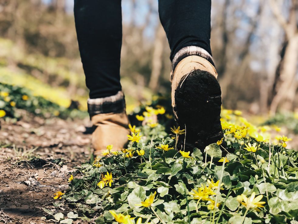 Why We Need To Appreciate The Earth