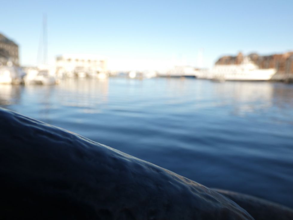 100 Simple Joys In Life, Listed For Your Convenience