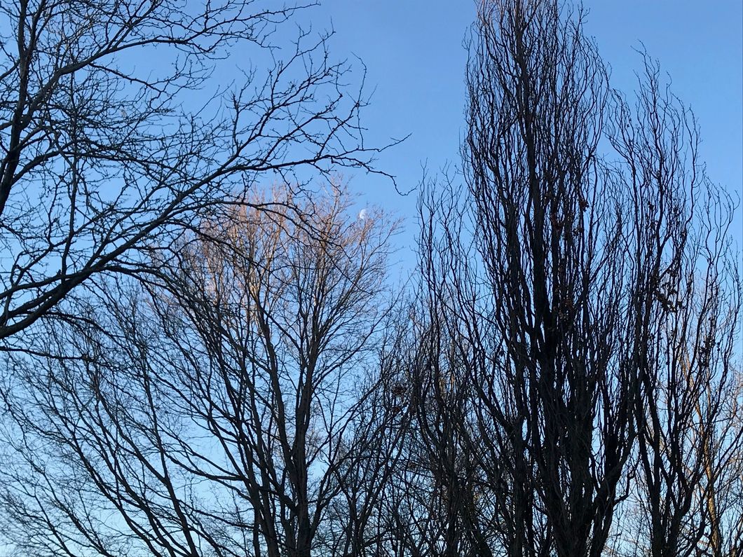 I Saw The Moon On My Way To Class, And Then Realized That We Are All A Part Of Something So Much Greater