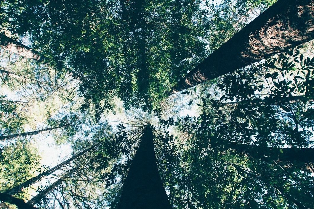 7 Small Ways To Make Big Environmental Changes