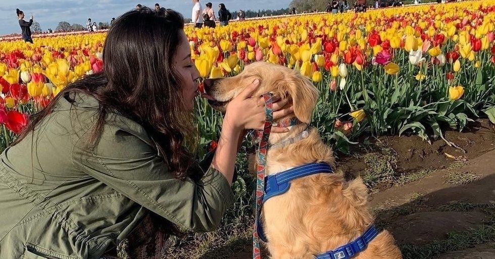 Owning A Dog In College Helped Me Own My Depression