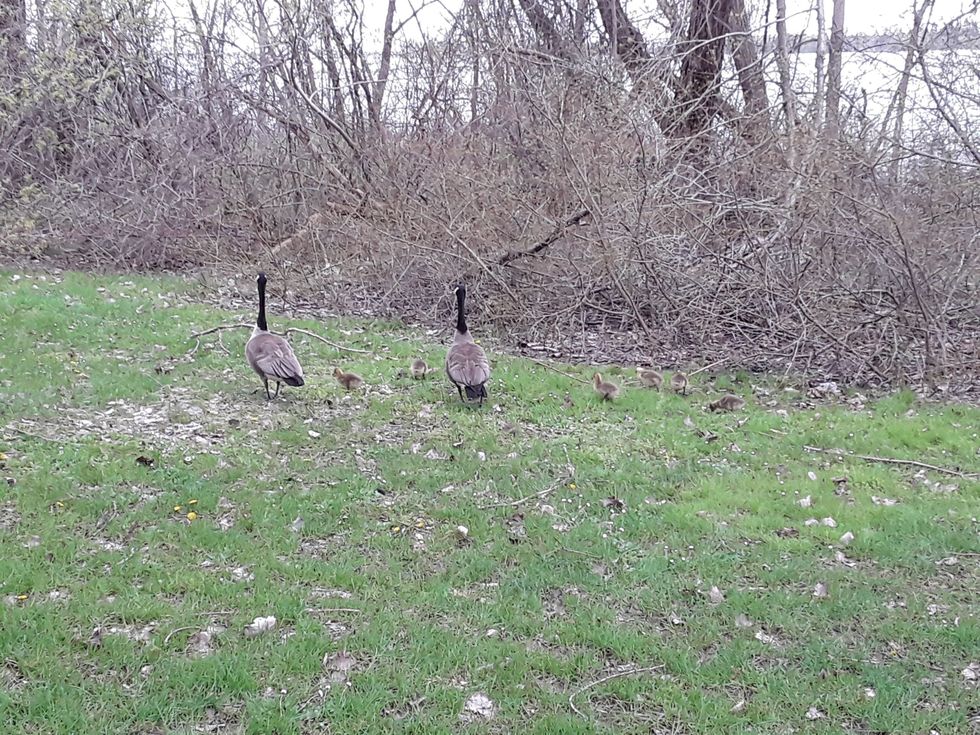 My Personal Views On Abortion (Part Two)